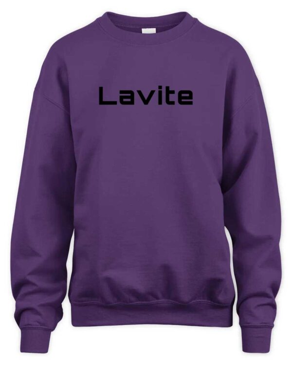 Lavite Classic Fit Urbanized Graphic Crew